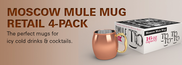 Moscow Mule Mug set affordable